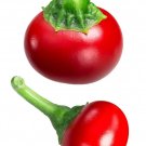 Cherry Peppers Easy To Grow Vegetable Garden Edible 25 seeds