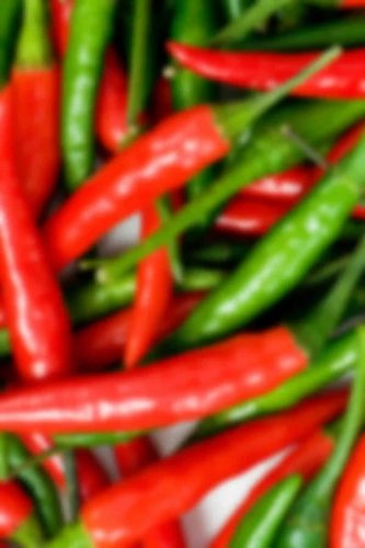 Charleston Chili Peppers Hot Easy To Grow Vegetable Garden Edible 25 seeds