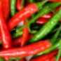 Charleston Chili Peppers Hot Easy To Grow Vegetable Garden Edible 25 seeds