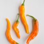 Cayenne Buist'S Chili Peppers Easy To Grow Vegetable Garden Edible 25 seeds