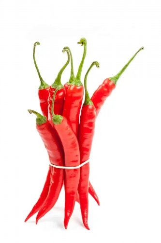 Carolina Cayenne Chili Peppers Easy To Grow Vegetable Garden Edible 25 seeds