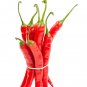Carolina Cayenne Chili Peppers Easy To Grow Vegetable Garden Edible 25 seeds