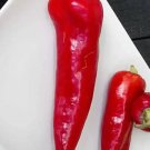 Carmen Italian Sweet Peppers Easy To Grow Vegetable Garden Edible Food 25 seeds