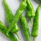 Barker'S Hot Chili Peppers Easy To Grow Vegetable 25 seeds
