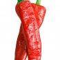 Aleppo Peppers Large Vegetable 25 seeds