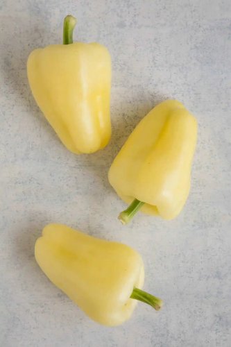 Albino Sweet Peppers Large Vegetable 25 seeds