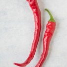 Aji Sivri Chili Peppers Large Vegetable 25 seeds