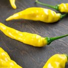 Aji Pineapple Chili Peppers Large Vegetable 25 seeds