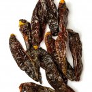 Aji Panca Chili Peppers Large Vegetable 25 seeds
