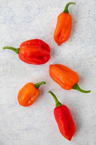 Aji Dulce Peppers Large Vegetable 25 seeds