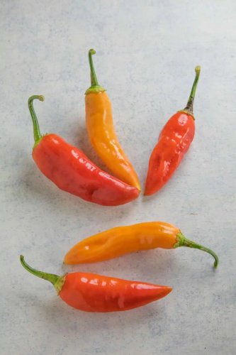 Aji Cristal Peppers Large Vegetable 25 seeds
