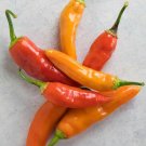 Aji Chili Peppers Large Vegetable 25 seeds