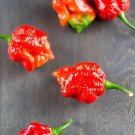 7-Pot Barrackapore Chili  Pepper Large Vegetable 25 seeds