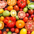 Rainbow Mix Tomato Juicy Vegetable  Tomatoe 50+ seeds