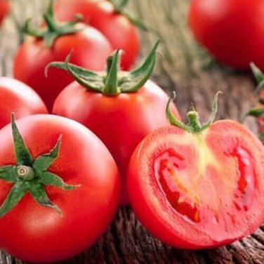 Sub Arctic Tomato Juicy Vegetable  Tomatoe 50+ seeds