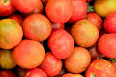 Tigerella Tomato Juicy Vegetable  Tomatoe 50+ seeds