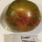 Dwarf Peppermint Stripe Tomato Juicy Vegetable  Tomatoe 50+ seeds