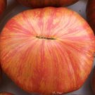 Dwarf Firebird Tomato Juicy Vegetable  Tomatoes 50+ seeds