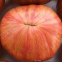 Dwarf Firebird Tomato Juicy Vegetable  Tomatoes 50+ seeds