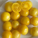 Dwarf Desert Star Tomato Juicy Vegetable  Tomatoes 50+ seeds