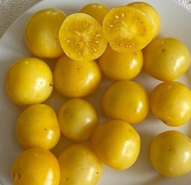 Dwarf Desert Star Tomato Juicy Vegetable  Tomatoes 50+ seeds