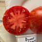 Dwarf Beauty King Tomato Juicy Vegetable  Tomatoes 50+ seeds
