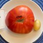 Choemato Tomato Juicy Vegetable  Tomatoes 50+ seeds