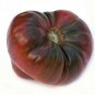 Black Brandywine Tomato Juicy Vegetable  Tomatoes 50+ seeds