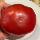 Barnes Mountain Tomato Juicy Vegetable  Tomatoes 50+ seeds