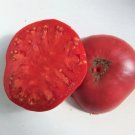 Dester Tomato Juicy Vegetable  Tomatoes 50+ seeds