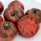 Carbon Tomato Juicy Vegetable  Tomatoes 50+ seeds