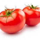 Berkeley Tomato Juicy Vegetable  Tomatoes 50+ seeds