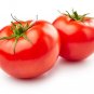 Berkeley Tomato Juicy Vegetable  Tomatoes 50+ seeds