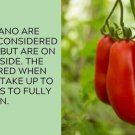 San Marzano Tomato Juicy Vegetable  Tomatoes 50+ seeds