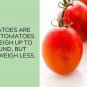 Roma Tomato Juicy Vegetable  Tomatoes 50+ seeds