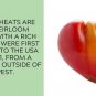 Hungarian Heart Tomato Juicy Vegetable  Tomatoes 50+ seeds