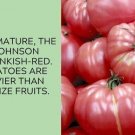 German Johnson Tomato Juicy Vegetable  Tomatoes 50+ seeds