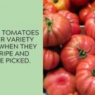 Ferris Wheel Tomato Juicy Vegetable  Tomatoes 50+ seeds