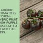 Black Cherry Tomato Juicy Vegetable  Tomatoes 50+ seeds