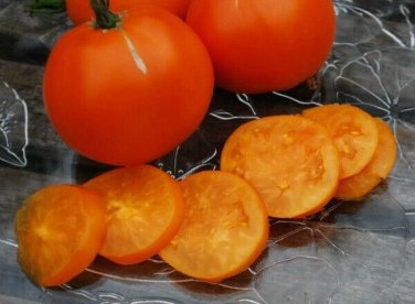 Valencia Tomato Juicy Vegetable  Tomatoes 50+ seeds