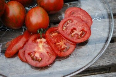 Costoluto Genovese Tomato Juicy Vegetable  Tomatoes 50+ seeds