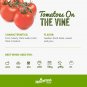 On The Vine Tomato Juicy Vegetable  Tomatoes 50+ seeds
