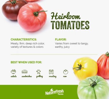 Heirloom Tomato Juicy Vegetable  Tomatoes 50+ seeds