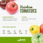 Heirloom Tomato Juicy Vegetable  Tomatoes 50+ seeds