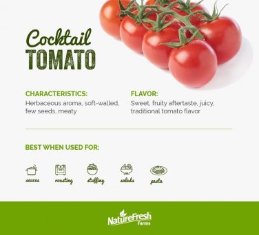 Cocktail Tomato Juicy Vegetable  Tomatoes 50+ seeds