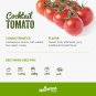 Cocktail Tomato Juicy Vegetable  Tomatoes 50+ seeds