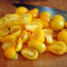 Tomaccio Tomato Vegetable Garden 50+ seeds