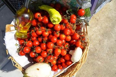 Santorini Tomato Vegetable Garden 50+ seeds