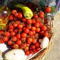 Santorini Tomato Vegetable Garden 50+ seeds