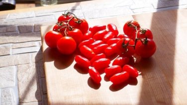 San Marzano Tomato Vegetable Garden 50+ seeds